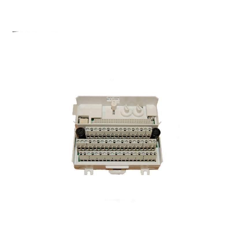ABB TU839 TU836V1 Extension for DO820,DO821, with insurance 2*4