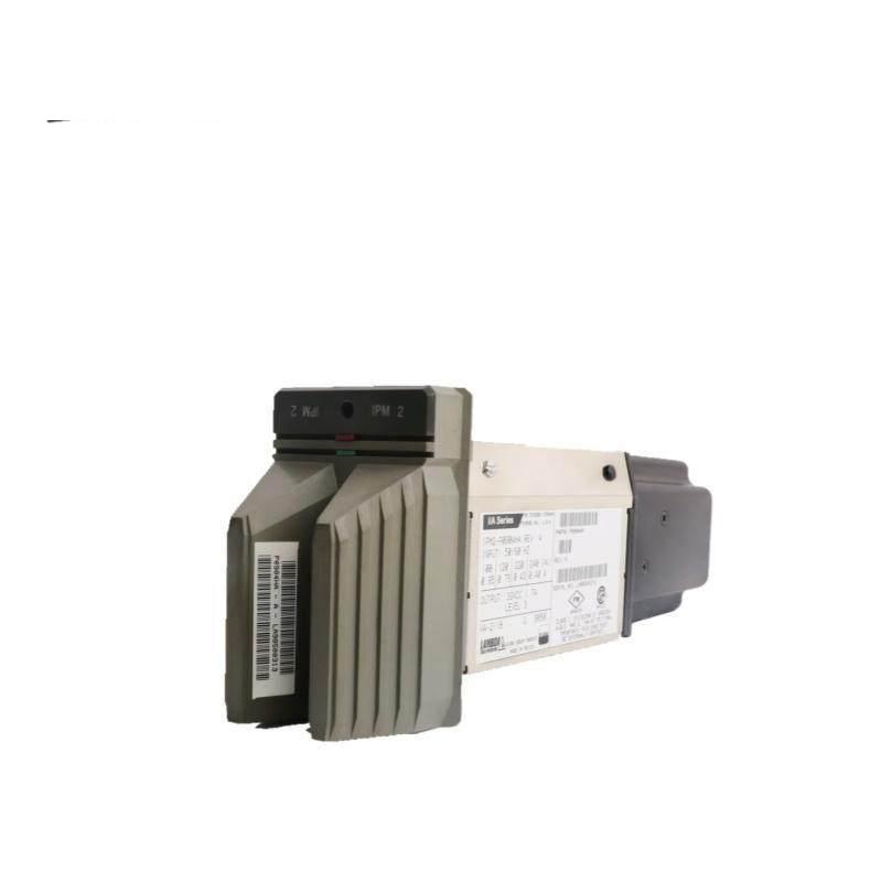 FOXBORO IPM2-P0904HA Power Supply Module