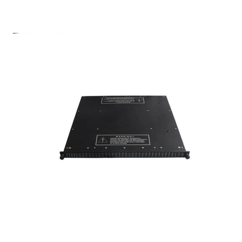 TRICONEX 4210 Remote Extender Modules