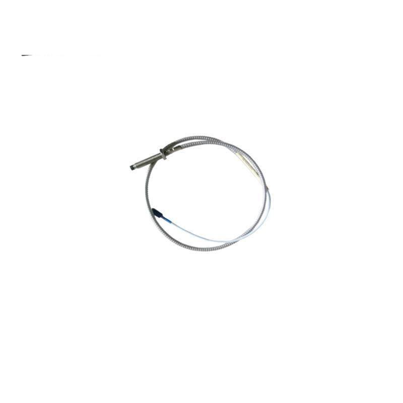 BENTLY NEVADA 22011-01-06-10-02 Extension Cable