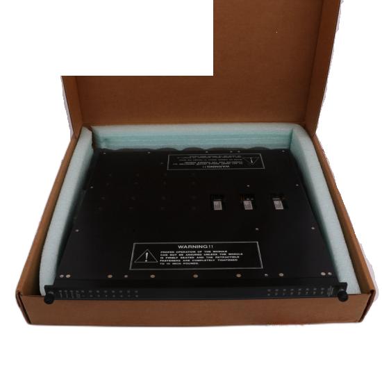 TRICONEX D03401 Digital Output Module