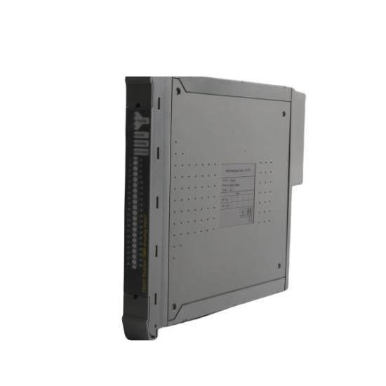 ICS TRIPLEX TC-303-01-2M0