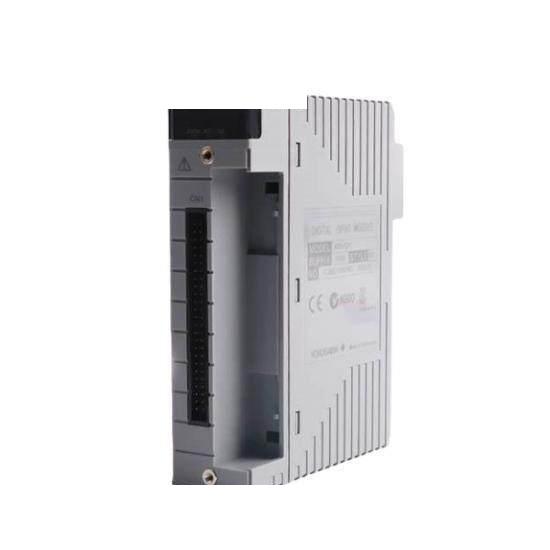 Yokogawa AAI543-S53 S1  Japan Origin