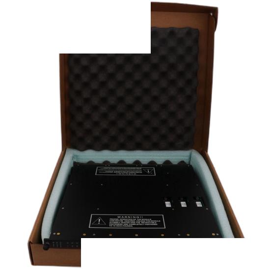 TRICONEX 3008N