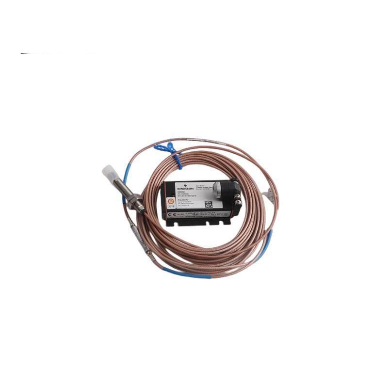 Emerson 2967620