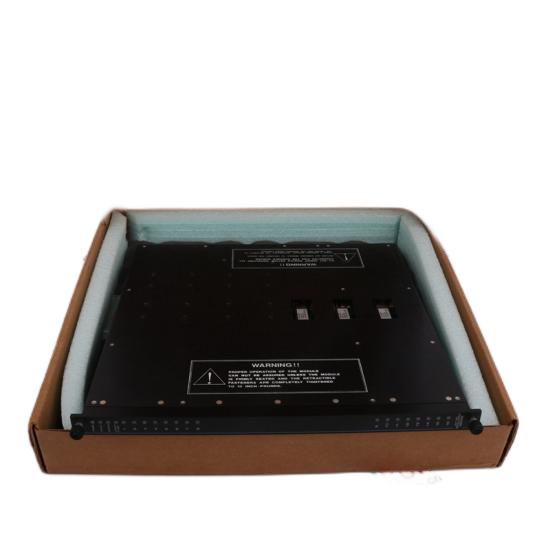 TRICONEX T-AI1601